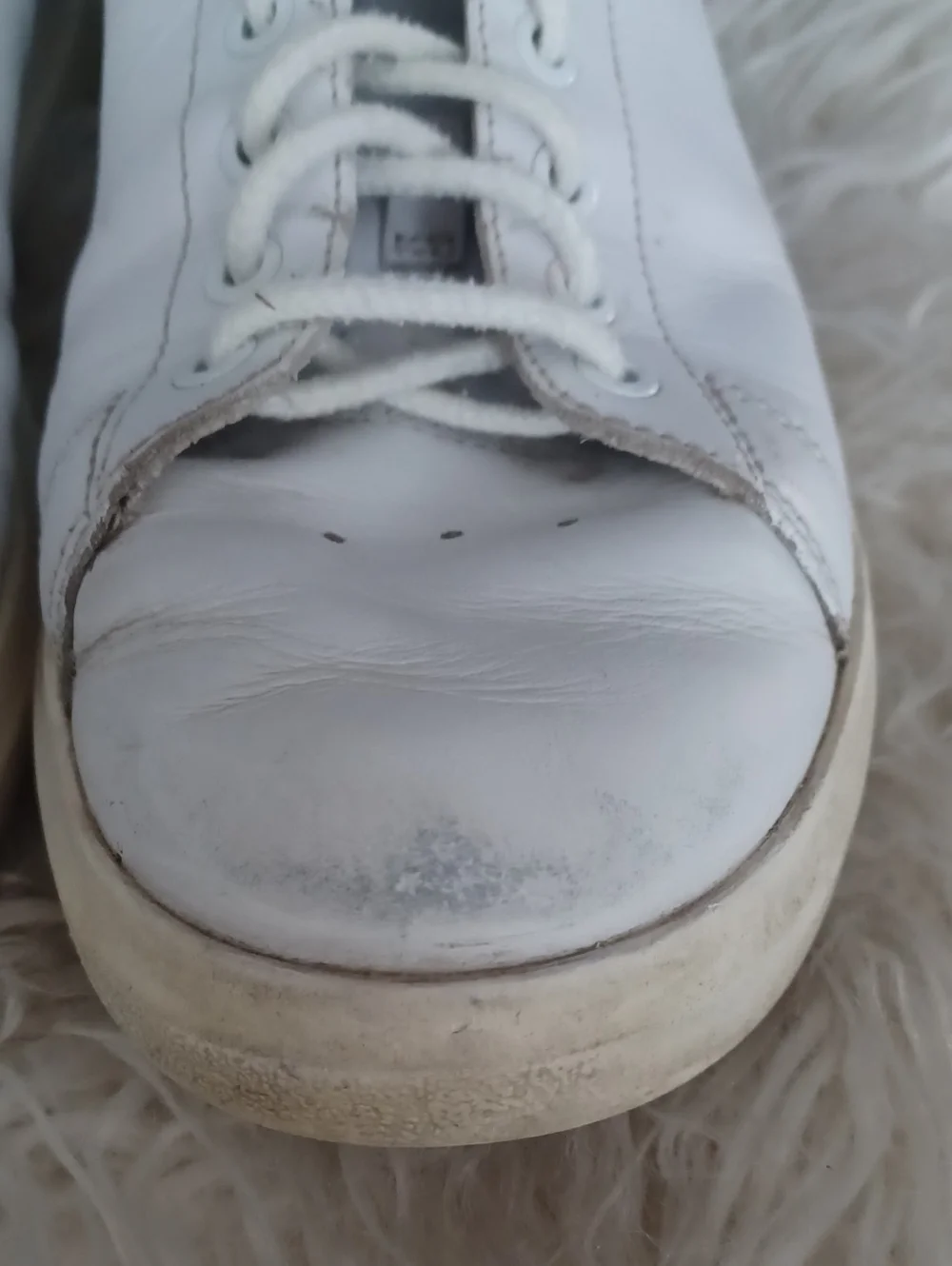 Tory Burch Leather Sneakers